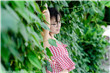 9377韩剧在线观看