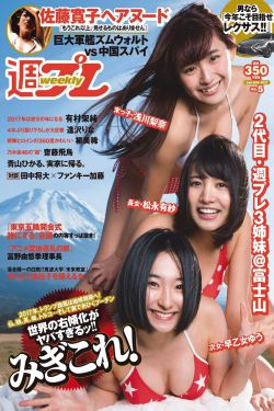 传家电视剧